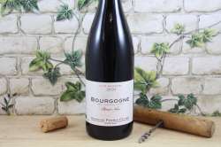 Bourgogne Pinot Noir 2020 - Bio