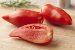 Tomates Andine Cornue Bio