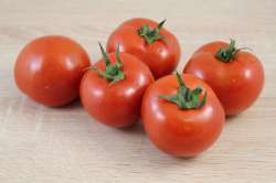 Tomates Rondes Bio (Damotte)