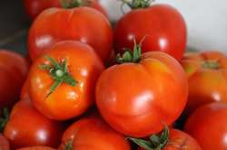 Tomates Saint Pierre