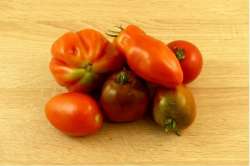 Mélange de tomates  anciennes Bio (LGG)