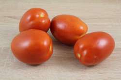 Tomates Allongées (Roma) Bio