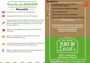 Nouvelles du 24/06/2022 - Tomates, Aubegines, Myrtilles...